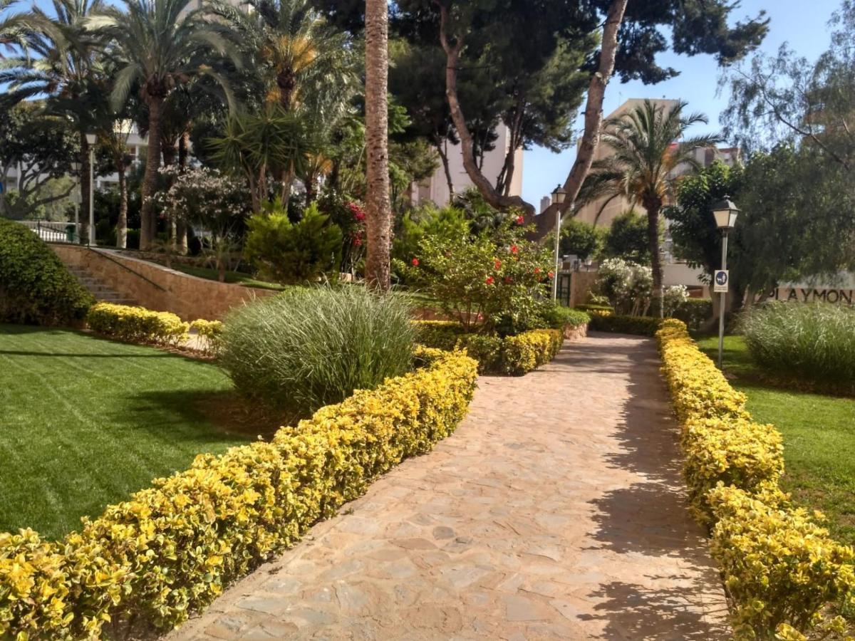 Wifi Loix Apartment Benidorm Esterno foto